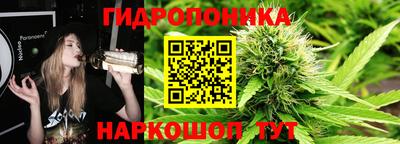 ГАЛЛЮЦИНОГЕННЫЕ ГРИБЫ Тула