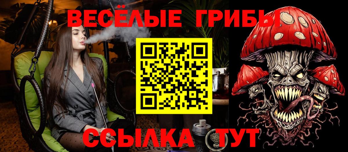 Псилоцибиновые грибы MAGIC MUSHROOMS Конаково